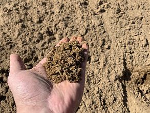Песок горный, Мк 1,0-1,6 (песок-80%, в остатке суглинок, ПРС и другое)